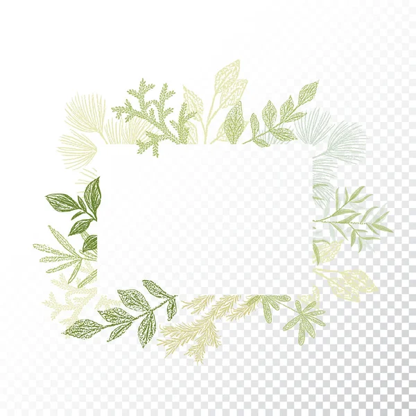 Marco rectangular, ramas y hojas vector — Archivo Imágenes Vectoriales