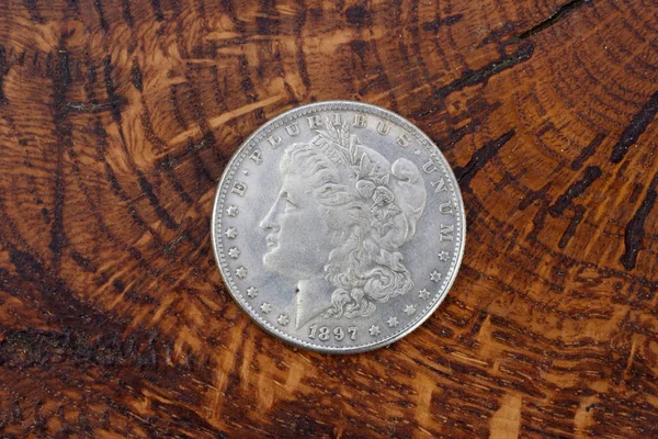 Ahşap Arka Plan Üzerinde Antik Gümüş Dolar — Stok fotoğraf
