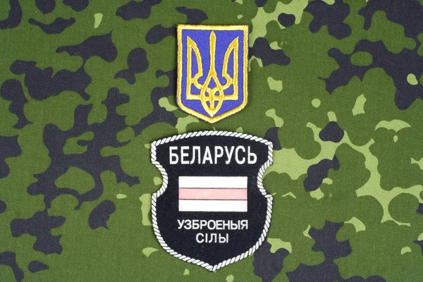 乌克兰 2015 白俄罗斯乌克兰军队的志愿者 俄罗斯 乌克兰战争 2014年 2015 非官方制服徽章与识别狗标签 — 图库照片