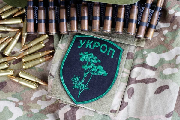 Κίεβο Ουκρανία Στις Ιουλίου 2015 Ουκρανία Στρατού Ανεπίσημη Ομοιόμορφη Ukrop — Φωτογραφία Αρχείου