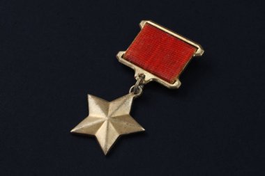 The Gold Star medal is a special insignia that identifies recipients of the title 