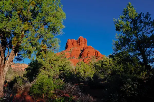 Bell Rock viewed from the forest of Sedona Arizona — Stock Photo, Image