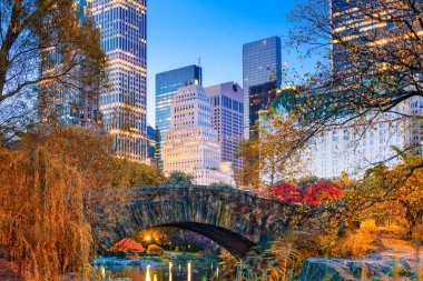 Central Park'a sonbahar