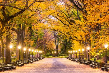 Central Park in New York City clipart