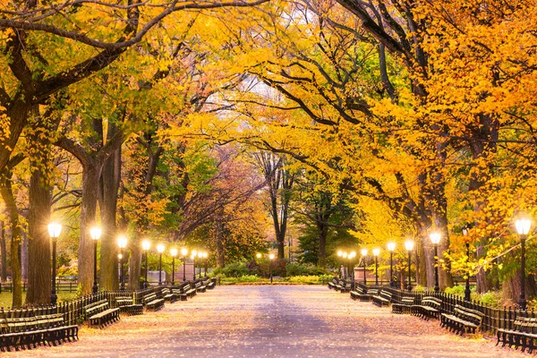 Central Park i New York City — Stockfoto