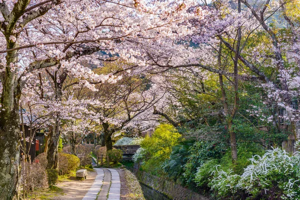 Wiosna w mieście Kyoto — Zdjęcie stockowe