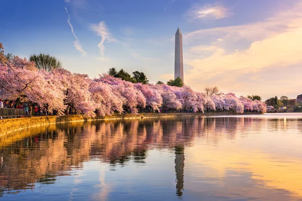 Washington DC in Spring — Stock Photo, Image