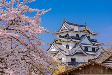 Hikone Castle bahar