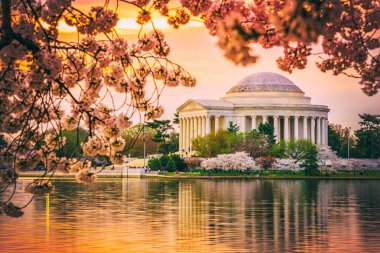 Jefferson Memorial Dc sırasında bahar