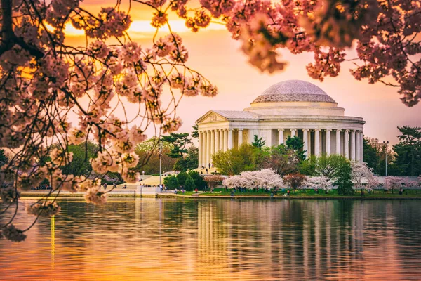 봄 동안 Dc 제퍼슨 기념관 — 스톡 사진