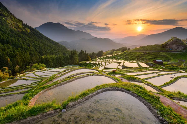 Terraços de arroz no Japão — Fotografia de Stock