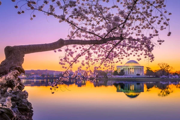 Jefferson memorial na primavera — Fotografia de Stock