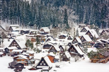 Shirakawago Japon Köyü