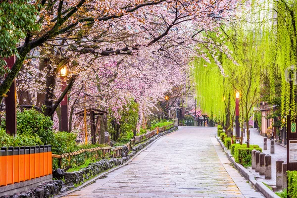 Gion Shirakawa, Kyoto — Foto de Stock