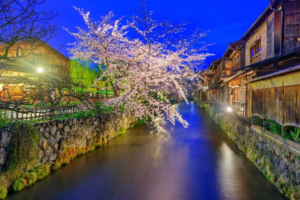 Gion Shirakawa, Kyoto — Foto Stock