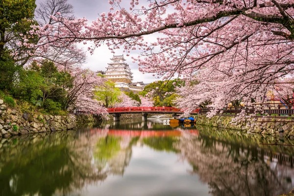 Himeji Kalesi, Bahar Japonya'da. — Stok fotoğraf