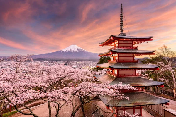 Mt. Fuji en pagode in het voorjaar — Stockfoto