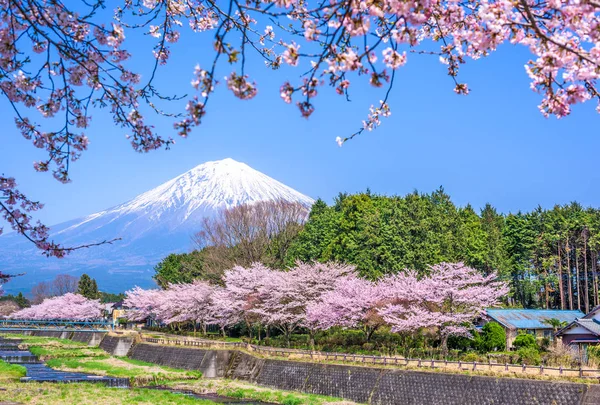 Mt. Fuji навесні — стокове фото