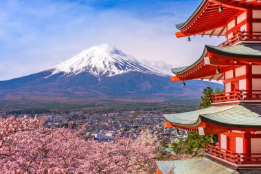 Pagoda ve Fuji bahar