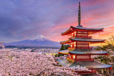 Pagoda ve Fuji bahar