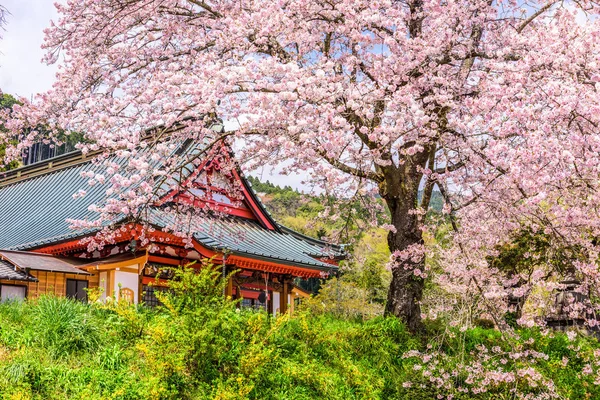 Templo en primavera — Foto de Stock