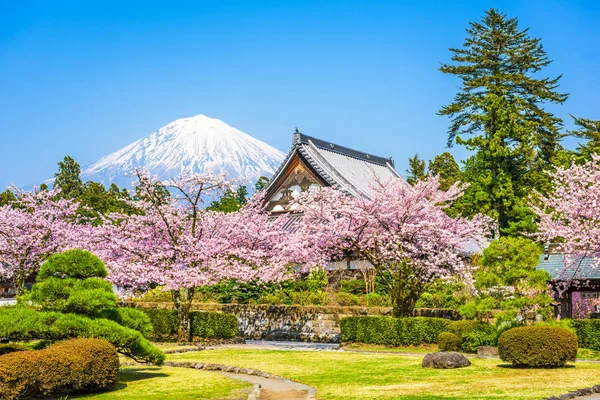 Trädgårdar och Fuji — Stockfoto