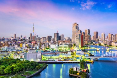 Tokyo, Japonya Sumida nehir manzarası