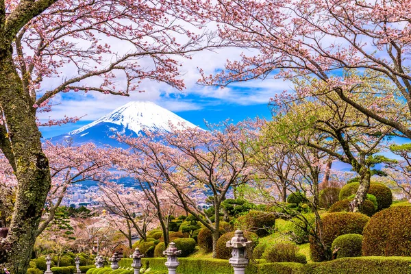 Peace Park a Mt. Fuji na jaře — Stock fotografie