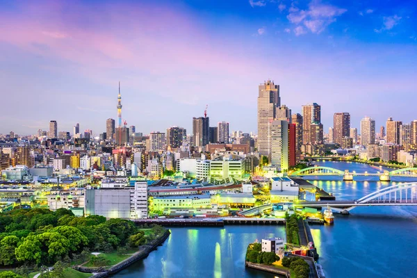 Tokyo, Japonya Sumida nehir manzarası — Stok fotoğraf