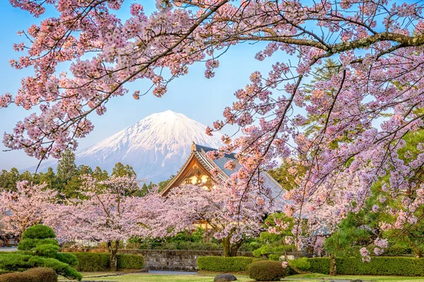 Fuji na jaře — Stock fotografie
