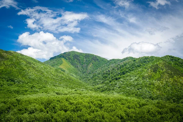 Moky Mountains Landscape — стоковое фото
