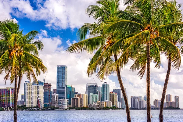 Miami, Florida, Amerikai Egyesült Államok — Stock Fotó