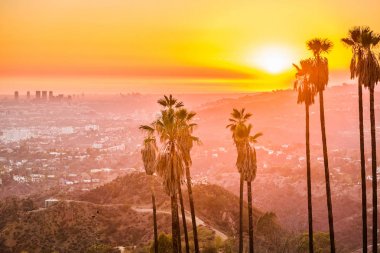 Griffith Parkı, Los Angeles,