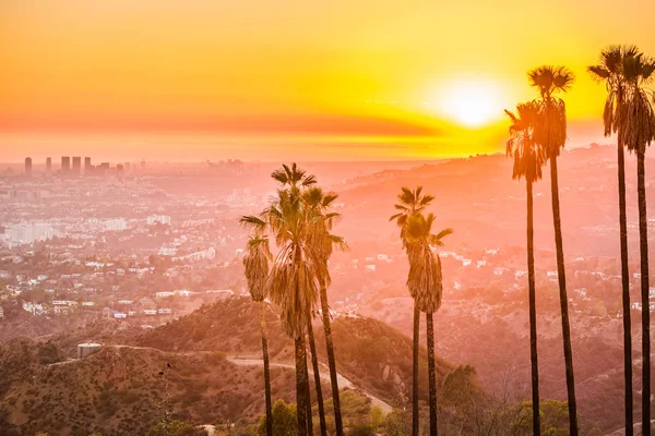 Griffith Park, Los Angeles, — Stockfoto