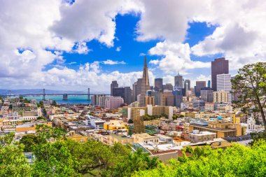 San Francisco, California, USA Skyline clipart