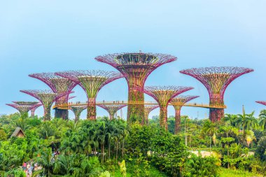 Gardens By the Bay Singapore clipart