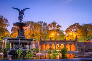 Central Park New York Şehri