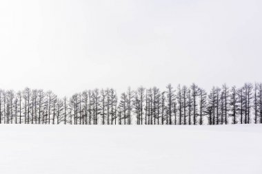 Biei, Japonya kırsal