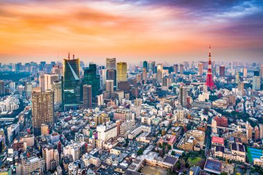 Tokyo Japonya manzarası