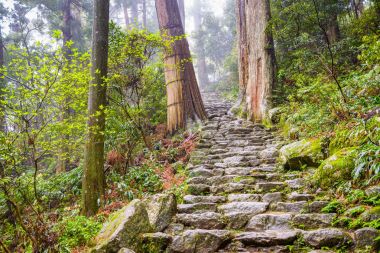 Kumano Kodo Trail Japan clipart