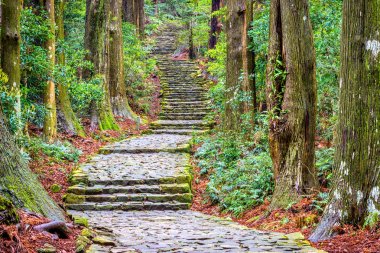 Kumano Kodo iz Japonya