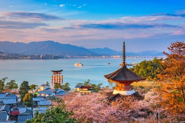 Miyajima, Hiroşima, Japonya