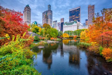 Central Park Autumn clipart