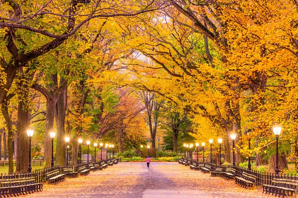 Central Park Autunno — Foto Stock