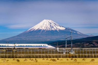 Mt. Fuji ve tren