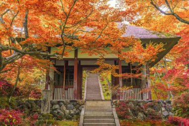 Jojakko Tapınağı Kyoto