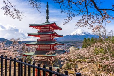 Fuji ve pagoda