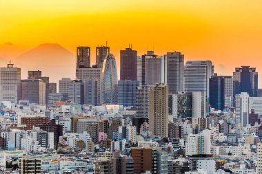 Tokyo Japonya cityscape