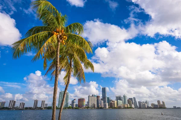 Miami Florida Estados Unidos —  Fotos de Stock