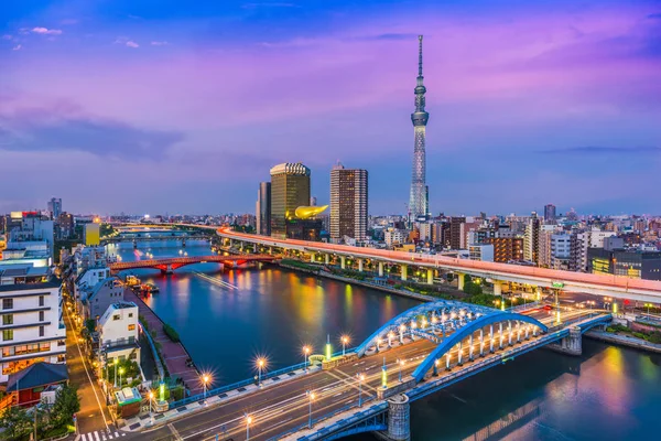 Tokyo Japan Skyline — Stockfoto